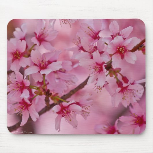 Tapis De Souris Bathed in Pink Japanese Cherry (Devant)