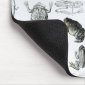 Tapis De Souris Batraciens et d'autres amphibiens (Coin)