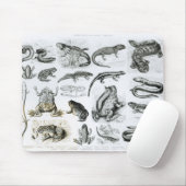 Tapis De Souris Batraciens et d'autres amphibiens (Avec souris)