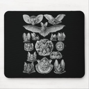 Tapis De Souris Bats Illustration scientifique Dessin Biologie Art