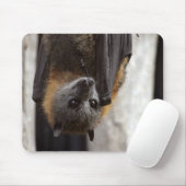 Tapis De Souris Batte australienne (Avec souris)