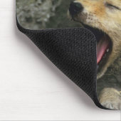 Tapis De Souris Baugeage de chiot de Coyote (Coin)