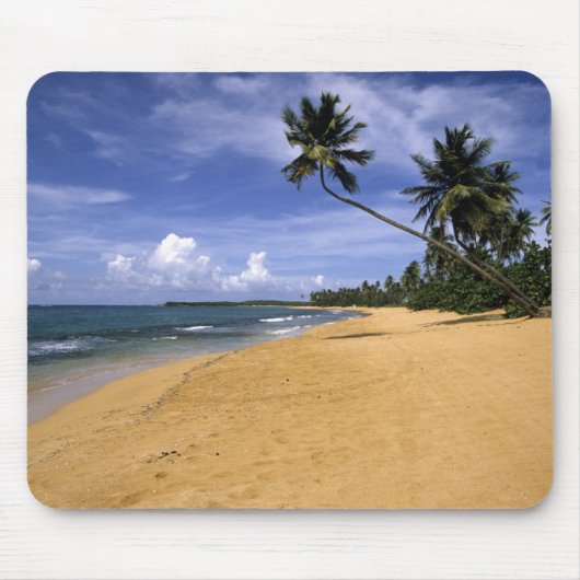 Tapis De Souris Beach Porto Rico 2 (Devant)