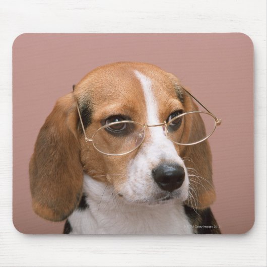 Tapis De Souris Beagle (Devant)