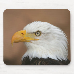 Tapis De Souris Beau aigle à tête blanche