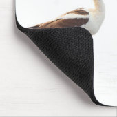 Tapis De Souris Beau Avocats américains sur la plage (Coin)