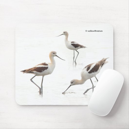 Tapis De Souris Beau Avocats américains sur la plage (Avec souris)