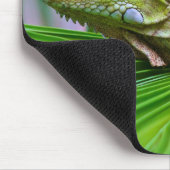 Tapis de souris beau caméléon (Coin)