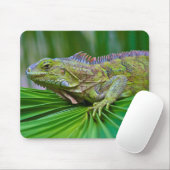 Tapis de souris beau caméléon (Avec souris)