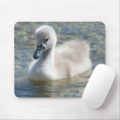 Tapis De Souris Beau Canard de cygne muet (Avec souris)