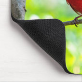 Tapis De Souris Beau cardinal rouge vif dans un arbre (Coin)