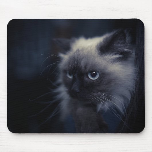 Tapis De Souris Beau chat (Devant)