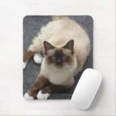 Tapis De Souris Beau chat de Birman (Avec souris)