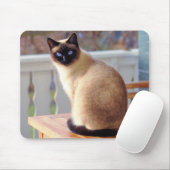 Tapis De Souris Beau chat siamois avec yeux bleus (Avec souris)