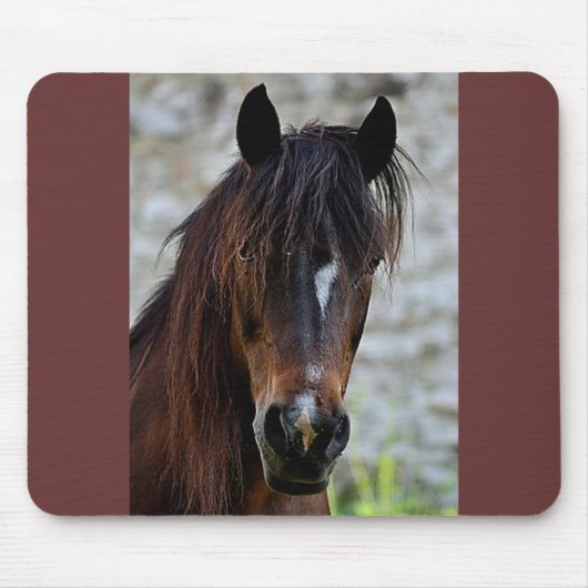 Tapis De Souris Beau cheval Brown (Devant)