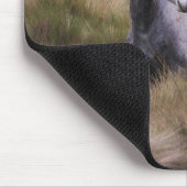Tapis De Souris Beau Cheval gris coloré (Coin)