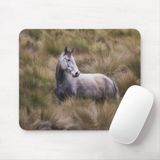 Tapis De Souris Beau Cheval gris coloré (Avec souris)