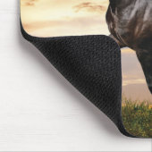 Tapis De Souris Beau Cheval Noir (Coin)