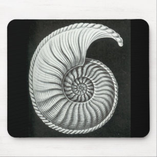 Tapis De Souris Beau dessin au crayon d'ammonite d'Amaltheus