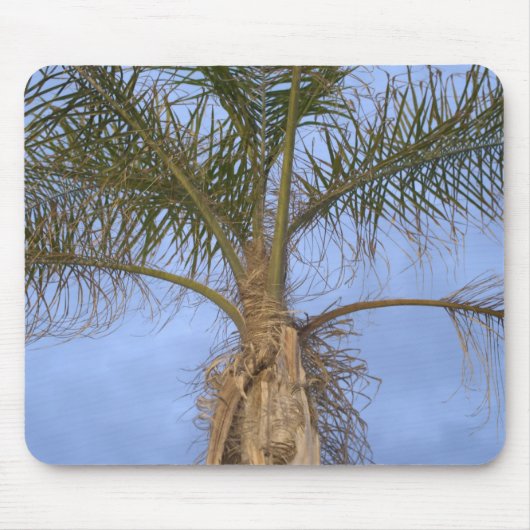 Tapis De Souris Beau gros plan de Palm Tree Mousepad (Devant)