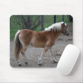 Tapis De Souris Beau Haflinger (Avec souris)