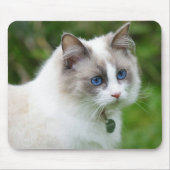 Tapis De Souris Beau Kitten bleu (Devant)