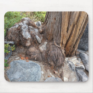 Tapis De Souris Beau Lac Tahoe Paysage