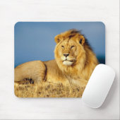Tapis de souris beau lion (Avec souris)