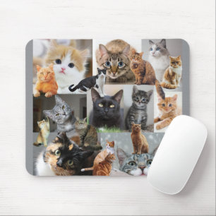 Tapis De Souris Beau Monde des Chats et des Chatons