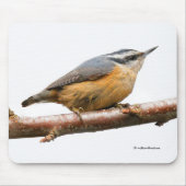 Tapis De Souris Beau oiseau-chanteur à poitrine rouge (Devant)