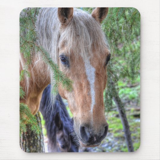 Tapis De Souris Beau Palomino Peinture Cheval & Branches en Pluie (Devant)