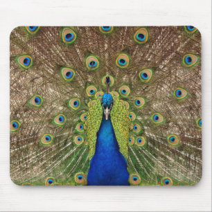 Tapis De Souris Beau paon et plumes imprimer mousepad