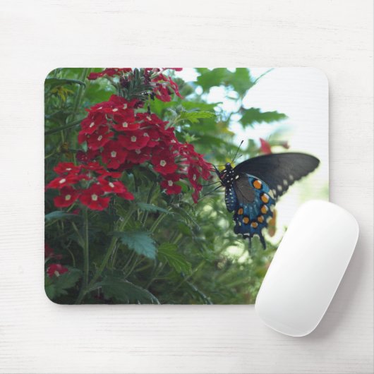 Tapis De Souris Beau papillon (Avec souris)