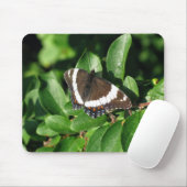 Tapis De Souris Beau papillon (Avec souris)