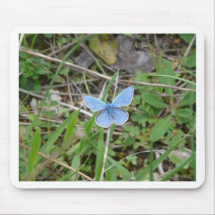 Tapis De Souris Beau Papillon Bleu
