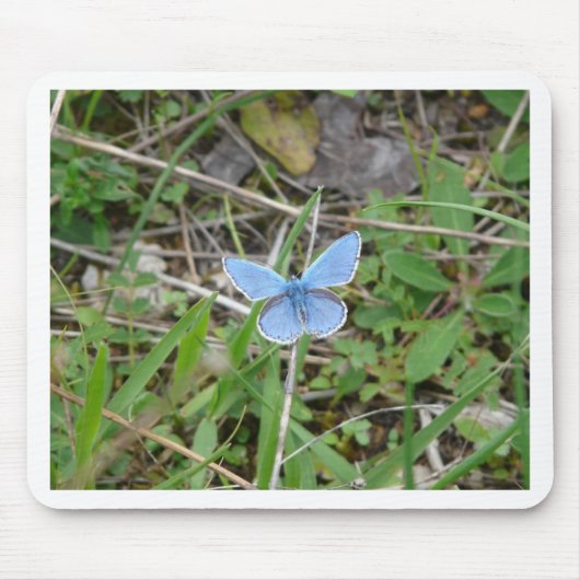 Tapis De Souris Beau Papillon Bleu (Devant)