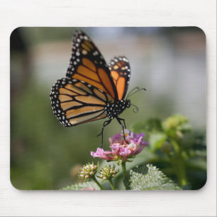 Tapis De Souris Beau papillon Monarque