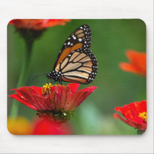 Tapis De Souris Beau papillon Monarque