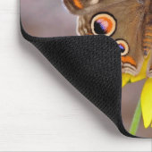 Tapis De Souris Beau papillon sur Fleur Jaune (Coin)