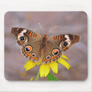 Tapis De Souris Beau papillon sur Fleur Jaune