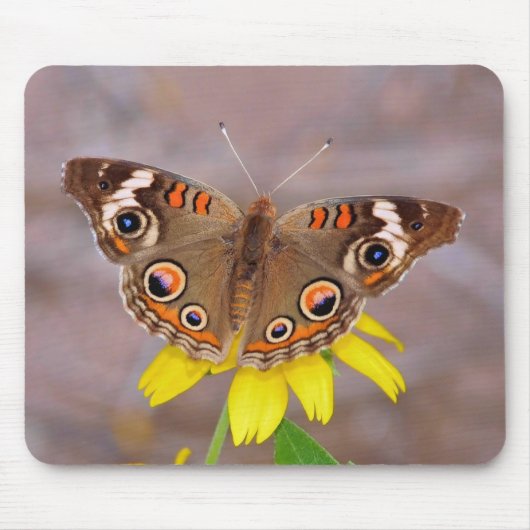 Tapis De Souris Beau papillon sur Fleur Jaune (Devant)