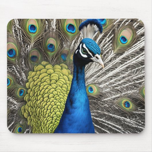 Tapis De Souris Beau Peacock (Devant)