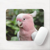 Tapis De Souris Beau perroquet rose et blanc (Avec souris)