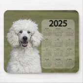 Tapis De Souris Beau Poodle Blanc 2025 Calendrier Chien (Devant)