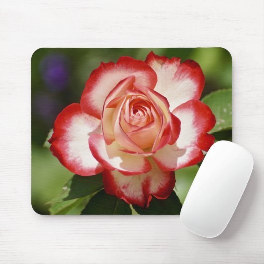 Tapis De Souris Beau Rose rouge et blanc (Avec souris)