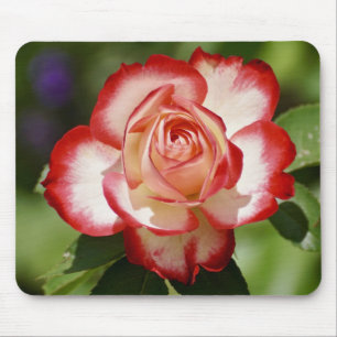 Tapis De Souris Beau Rose rouge et blanc