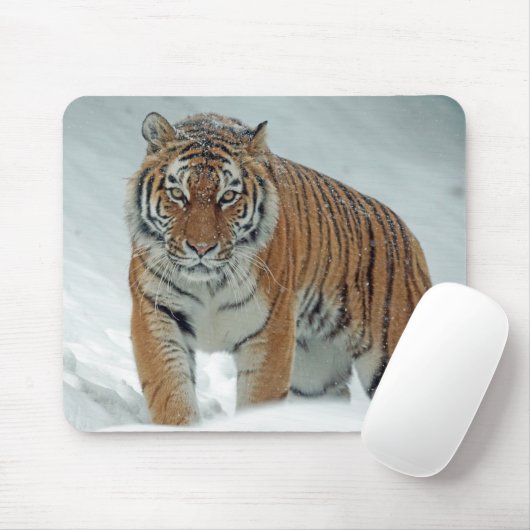 Tapis De Souris Beau tigre dans la neige (Avec souris)