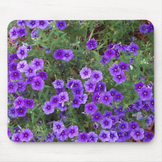 Tapis De Souris Beaucoup de fleurs phiox violet foncé (Devant)