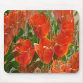 Tapis De Souris Beaucoup de Tullipppsss....... (Devant)