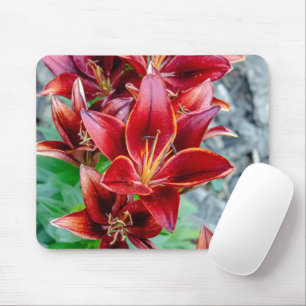 Tapis De Souris Beauté canadienne : Red Stargazer Lily Photographi